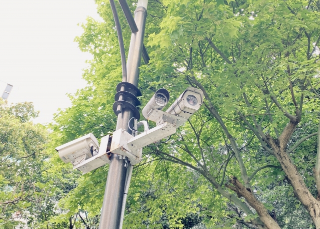 中野区議会議員 自民党 武井まさき